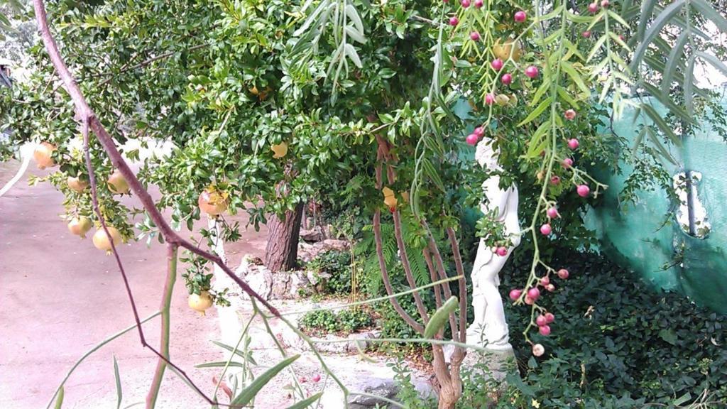 Alojamiento Rural La Caseria De Piedra Restaurante Jaén Exteriér fotografie
