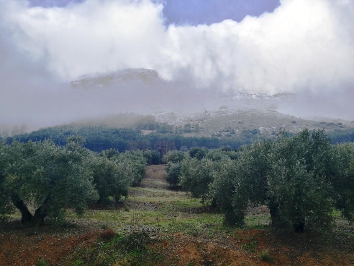 Alojamiento Rural La Caseria De Piedra Restaurante Jaén Exteriér fotografie